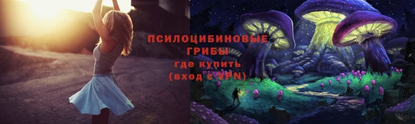 mdpv Верея